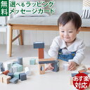 Tryco トライコ|ブロックセット50ピース|積み木 ブロック 指先知育 木製玩具 木のおもちゃ|2歳 3歳| ベルギー 知育玩具 お誕生日 ギフト 初節句祝