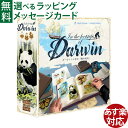 ボードゲーム Gigamic(ギガミック)社 イン・ザ・フットステップ・オブ・ダーウィン 日本正規品 おうち時間 子供 ボドゲ