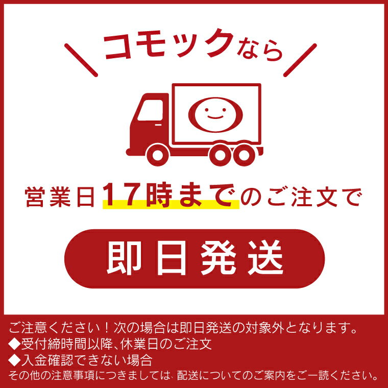 木のおもちゃ 日本製 ニチガン もじあそび 知育玩具 あいうえお ひらがな 出産祝い 誕生日 3歳 おうち時間 子供