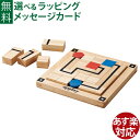 脳トレ エドインター 木のおもちゃ/知育パズル Route Finder（ルートファインダー）ボードゲーム 4歳 おうち時間 子供