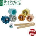 木のおもちゃ 知育玩具 Plantoys プラントイ ビーハイブ ネオ パステルカラー 指先訓練 ファインモータースキル モンテッソーリ おもちゃ 3歳 お誕生日 おうち時間 入園 子供