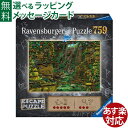 ジグソーパズル 謎解き Ravensburger ラベンスバーガー エスケープパズル 古代寺院の境内 759ピース おうち時間 子供