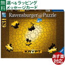 ジグソーパズル 大人用 Ravensburger ラベンスバーガー クリプト ゴールド 631ピース アート 同色 パズル おうち時間 子供