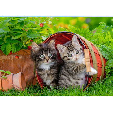 LPメール便OK パズル 子供用 Ravensburger ラベンスバーガー 子猫の冒険(12ピース×2) 3歳 おうち時間 子供