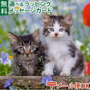 LPメール便OK パズル 子供用 Ravensburger ラベンスバーガー いたずら子猫（49ピース×3） 5歳 おうち時間 子供