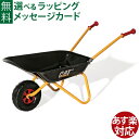 rollytoys ロリートイズ クラシックサマー CAT一輪車 バロー 正規輸入品 砂遊び 雪遊び 水遊び 外遊び おうち時間 子供