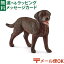 メール便OK シュライヒ 動物フィギュア schleich 13834 シュライヒ ごっこ遊び ラブラドール・レトリバー(メス) おうち時間 子供 入学 入園 968円