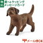 メール便OK シュライヒ 動物フィギュア schleich 13835 シュライヒ ごっこ遊び ラブラドール・レトリバー(仔) おうち時間 子供 入学 入園 748円