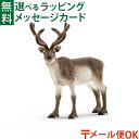 メール便OK シュライヒ schleich ワイルドライフ 14837 トナカイ 動物 フィギュア ごっこ遊び おうち時間 子供