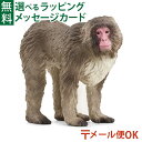 メール便OK 動物 フィギュア schleich 14871 シュライヒ ニホンザル ごっこ遊び おうち時間 子供