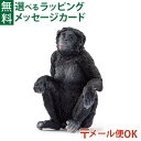 メール便OK 動物 フィギュア schleich 14875 シュライヒ ボノボ(メス) ごっこ遊び おうち時間 子供