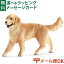 メール便OK シュライヒ 動物 フィギュア schleich 16395 ゴールデン・レトリバー(メス)ドイツ おうち時間 子供 入学 入園 968円