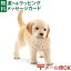メール便OK シュライヒ 動物 フィギュア schleich 16396 ゴールデン・レトリバー(仔)ドイツ おうち時間 子供 入学 入園 748円