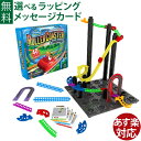 アメリカ ThinkFun（シンクファン） 社 日本正規品 ローラー・コースター・チャレンジ脳トレ パズル プログラミング教育 コーディング おうち時間 自由研究 子供