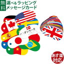 戸田デザイン研究室 リングカード・国旗 とだこうしろう リングカードシリーズ 文字 英語 国旗 学習 知育玩具 おうち時間 子供 入学 入園