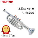 シルバークラリネット 8keys 42cm ボンテンピ 楽器 おもちゃ クラリネット bontempi 誕生日プレゼント 3歳 男の子 女の子 BONTEMPI