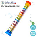 レインスティック クリア | 赤ちゃん 楽器 知育玩具 1歳 6か月 ラトル ガラガラ マラカス 雨音 雨の音 音遊び 木製 プラ製 音楽 幼児 子ども 男の子 女の子 誕生日 プレゼント ドイツ 海外 | Gollnest&Kiesel ゴルネスト＆キーゼル