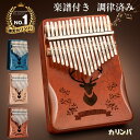カリンバ サムピアノ 親指ピアノ 初心者セット 子供 楽器 天然木製 17音 マホガニー おしゃれ 可愛い 使いやすい 親指オルアクセサリ&楽譜集付きゴール キ...