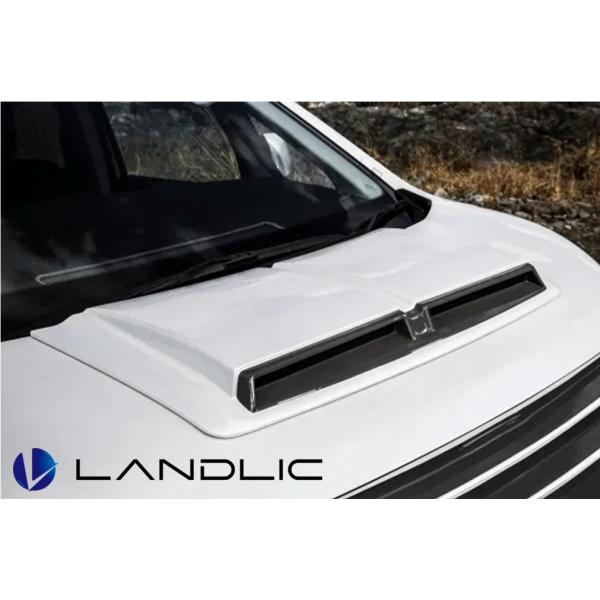 LAND-3D5EX-003 LANDLIC（ランドリック） ボンネットフード デリカD:5 後期