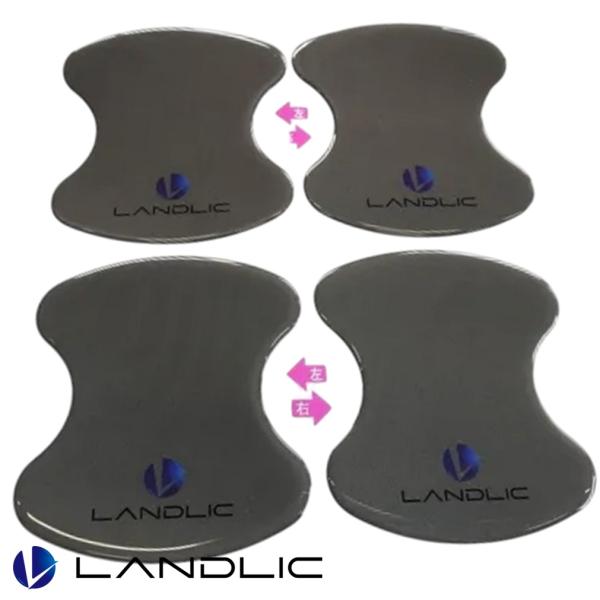 LAND-3D5EX-010 LANDLIC（ランドリック） ドアプロテクト デリカD:5 前期/後期 グレー