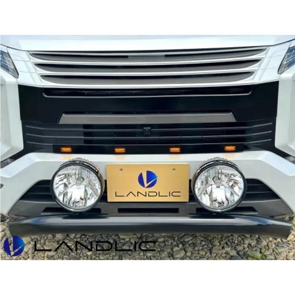 LAND-3D5EX-014 LANDLIC�ʥ��ɥ�å��� �����ޡ����� �ǥꥫD:5 ���