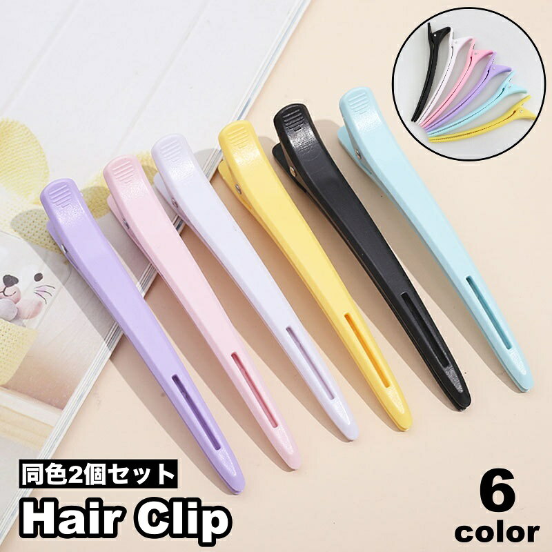 ヘアクリップ 2個セット くちばしクリップ ヘアアクセサリー レディース 女性 髪飾り 髪留め 無地 単色 シンプル ヘアアレンジ おしゃれ 可愛い ガールズ 婦人 ファッション小物