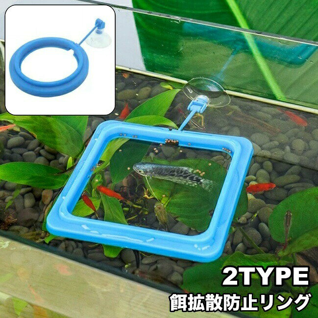 餌拡散防止リング フィーダーカップ 給餌器 魚用エサ皿 水槽 飼育用 吸盤付き エサやり 汚さない 円形 ラウンド 正方形 四角