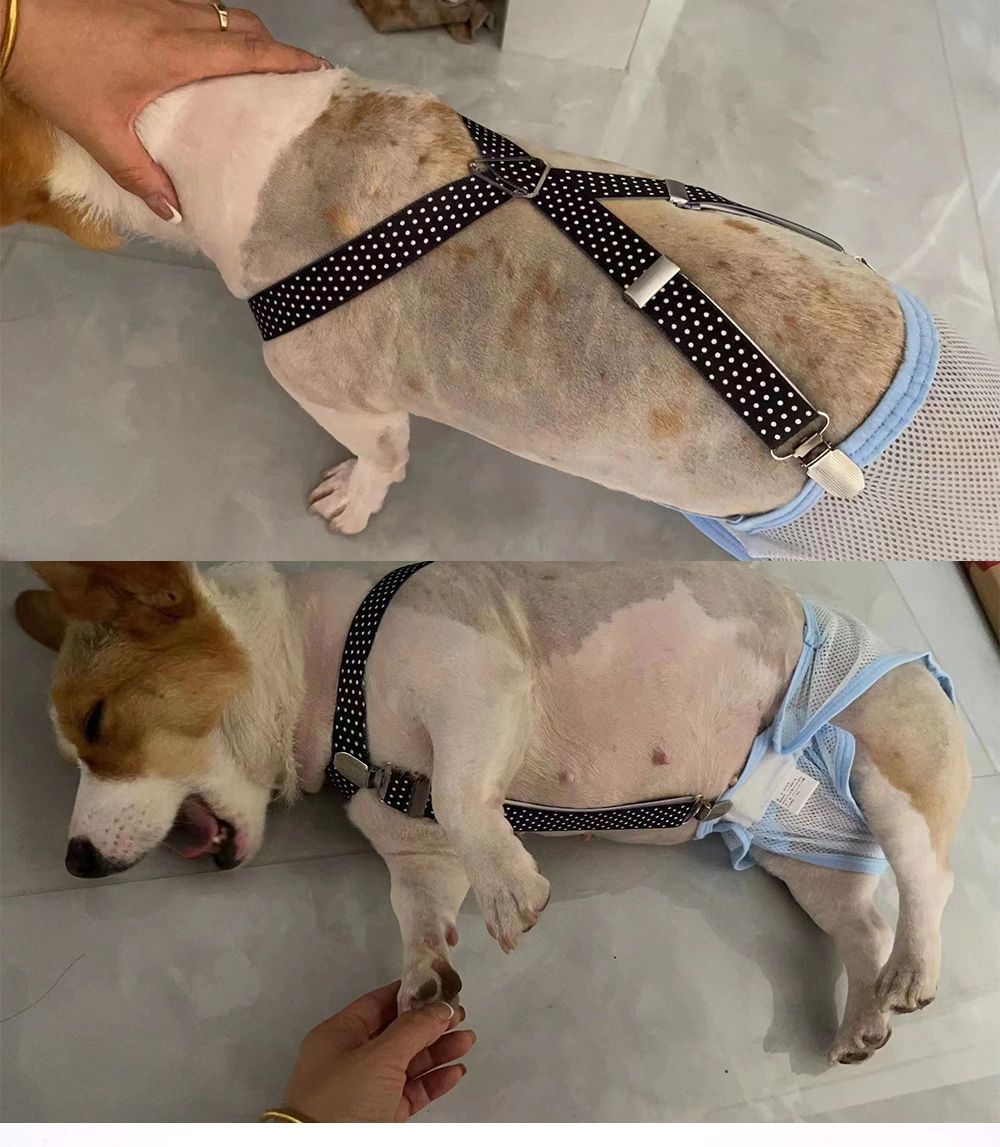 オムツサスペンダー 犬用 猫用 ペット用 サイズ調整可能 クリップ ズレ防止 おしっ...