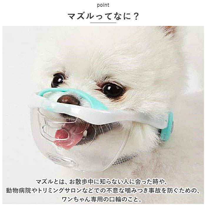 サンプル画像3