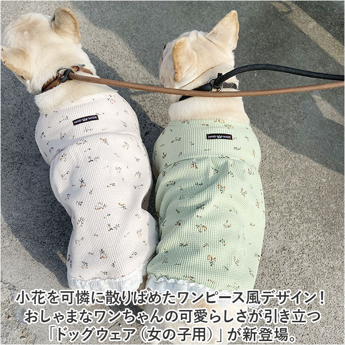 サンプル画像2