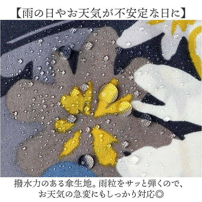 wpc �ޤꤿ���߻� �������� ��ŷ 3�� �ޤ���߻� ���ɥѡ��ƥ��� �������ѻ� �� �ޤꤿ���� ���� ���� ���� ��ǥ����� ������� ��� ���襤�� �곫�� 50cm �֥��� Wpc. 3���ޤꤿ���߻� ���� ������ ��ǥ���������