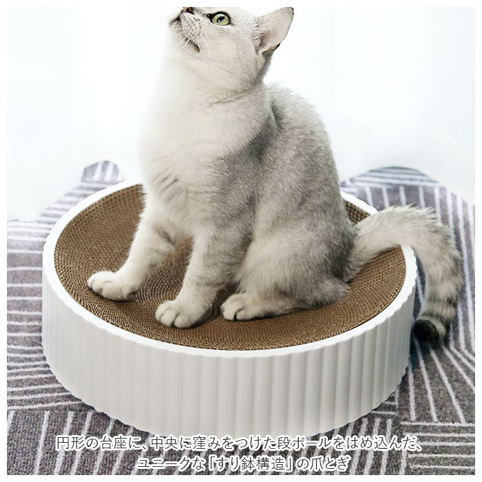 ǭ �ޤȤ� ����ܡ��� ��ŷ �ʥܡ��� ǭ���ޤȤ� ���᤭ ǭ�ޤȤ� ǭ�٥å� �ݷ� ������å��㡼 ǭ������� ��������ѥ� ������� ���襤�� ���ȥ쥹��� �ͥ� �ͤ� ǭ�� �ۥ磻�� �ڥå�����
