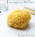 ボディスポンジ Bellini ベリーニ 楽天 SA16 天然海綿 ハニコム種 天然海綿スポンジ L ...