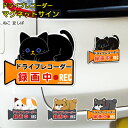 ドライブレコーダー ステッカー マグネット 楽天 クロネコ 猫 ネコ 犬 イヌ おしゃれ ミケネコ 豆しば マメシバ マグネットサイン キャラクター かわいい 後方 マグネットステッカー 煽り運転対策 あおり運転対策 ドラレコ 「録画中」 サイン 磁石