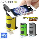 顕微鏡 スマホで撮影 楽天 写真 子供 スマホ 自由研究 ハンディ顕微鏡dx スマホアダプター 小学生 ハンディ 100倍 150倍 200倍 250倍 100〜250倍 UVライト プレパラート付き LEDライト ストラップ付き 透過型顕微鏡 落射型顕微鏡 2way