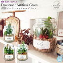 観葉植物 フェイクグリーン 楽天 ECLIA エクリア CT触媒 消臭アーティフィシャルグリーン おしゃれ 小さい インテリアグリーン ラウンドポット キャニス...