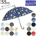 傘 レディース ジャンプ 楽天 amusant sous la pluie 長傘 可愛い 16本骨 55cm 軽量 おしゃれ 大人 かわいい シンプル 通勤 通...