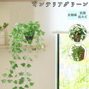光触媒 観葉植物 楽天 フェイク おしゃれ 壁掛け フェイクグリーン 造花 吊り下げ ハンギング フック 壁 消臭 抗菌 防カビ アイビー クレマチス ビーンバ...