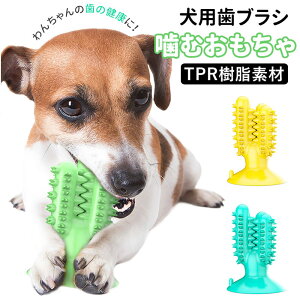 犬 噛む おもちゃ 楽天 ストレス解消 玩具 オモチャ ペット用品 歯ブラシ 歯茎マッサージ 小型犬 中型犬 クリーニング 長持ち ペットグッズ かわいい 楽しい イヌ ドッグ