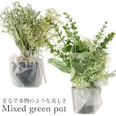 フェイクグリーン ミニ 楽天 インテリアグリーン 観葉植物 イミテーショングリーン 造花 サキュレント バーチャルグリーン 卓上 寄せ植え 置物 プレゼント ギ...