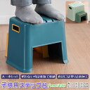 子ども ステップ 踏み台 2段 楽天 脚立 キッズステップ 踏台 小型 ステップ台 ツーステップ 足台 足置き台 トイレ台 玄関踏み台 踏み台昇降 2段ステップ台 男の子 女の子 子供 トイレトレーニング 子ども キッズ こども 幼児 トイトレ 手洗い トイレ 洗面台 手洗い おしゃれ