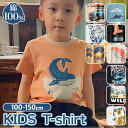 tシャツ キッズ 楽天 ガールズ パジャマ ボーイズ 半袖 男の子 女の子 子供服 ティーシャツ カジュアル デザイン トラ 犬 ジープ クジラ マジック 飛行...