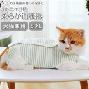 猫 術後服 楽天 ストライプ 傷舐め防止 手術後 服 ねこ ロンパース つなぎ カバーオール 洋服 ウェア 術後ウェア 薄手 皮膚保護 柔らかい S M L X...