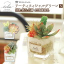 多肉植物 観葉植物 フェイク s 楽天 ECLIA エクリア CT触媒 消臭アーティフィシャルグリーン おしゃれ 小さい インテリアグリーン 寄せ植え ポット ...