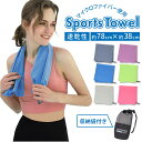 速乾タオル スポーツ 楽天 ヨガタオル タオル プール スポーツタオル 速乾 スイミング セイムタオル セームタオル 水泳 シンプル 軽量 無地 柔らかい 雑貨 スポーツ用品