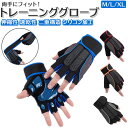 トレーニンググローブ パワーグローブ 楽天 懸垂グローブ 懸垂 グローブ パワー 筋トレグローブ ジムグローブ ウェイトグローブ 筋トレ手袋 手袋 ジム トレー...