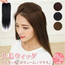 ウィッグ 部分 楽天 付け毛 エクステ ワンタッチ 部分ウィッグ ウイッグ ポイントウィッグ ヘアピ ...