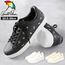 アーノルドパーマー スニーカー Arnold Palmer AL0705 楽天 ローカット レディース コートシューズ コートスニーカー 軽量 軽い 紐靴 レー...