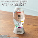 ガリレオ 温度計 スヌーピー 楽天 室内 ガラスフロート温度計 おしゃれ キャラクター ガリレオ温度計 気象計 ガラス 雑貨 天気 天候 サイエンス 科学 イン...