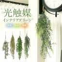 光触媒 フェイクグリーン 楽天 吊り下げ グリーンブッシュ CT触媒 観葉植物 フェイク ハンギング 消臭 抗菌 防汚 空気清浄 イミテーショングリーン リビン...